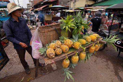 attraction-Shopping In Kampong Thom Market.png